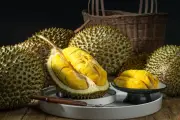 Bolehkah Bawa Durian ke Kamar Hotel? Ini Aturan dan Jawabannya