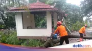 Hujan Angin di Cibinong Bogor, Pohon Tumbang Timpa 3 Rumah Warga