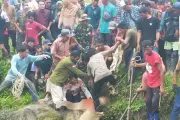 Ibu Rumah Tangga di Simeulue Tewas Diterkam Buaya Saat Mencari Lokan di Sungai