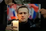 Intelijen Eropa Tuduh Rusia Racun Navalny dengan Racun Katak Panah