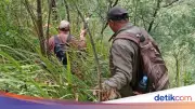 Jenazah Pendaki Yasid Ahmad Ditemukan di Sungai Bukit Mongkrang Setelah 24 Hari Hilang