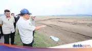 Mendagri Tito Tinjau Sawah Tertutup Lumpur di Aceh, Desak Kementan Segera Bertindak