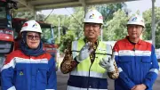 Pertamina Siapkan Pasokan BBM dan Rest Area untuk Mudik Lebaran 2026 yang Aman