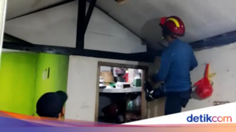 Biawak Berkeliaran di Plafon Rumah Warga Bogor, Damkar Evakuasi dalam 15 Menit