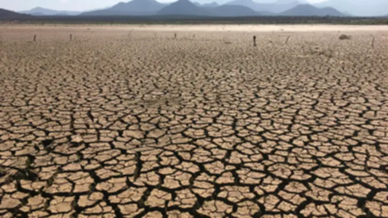 BMKG Ingatkan Ancaman Kemarau Lebih Kering 2026, Puncaknya Agustus