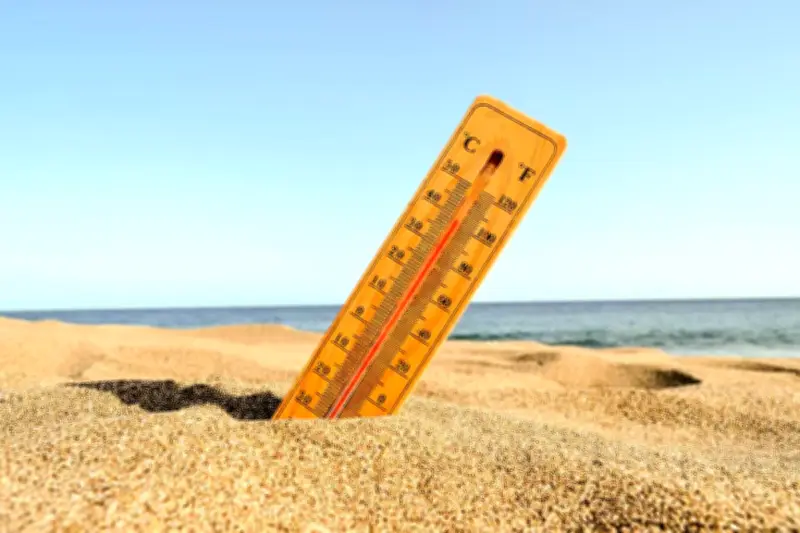 BMKG Rilis Daftar Kota Terpanas di Indonesia, Jakarta Puncaki Peringkat