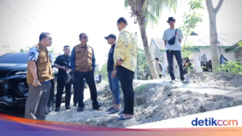 BNPP RI Turun Langsung Tinjau Pemulihan Pascabencana Banjir Bandang di Aceh