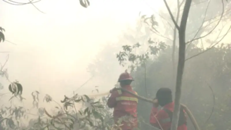 BPBD Kalbar Genjot Pembasahan Lahan untuk Antisipasi Karhutla di Musim Kemarau 2026