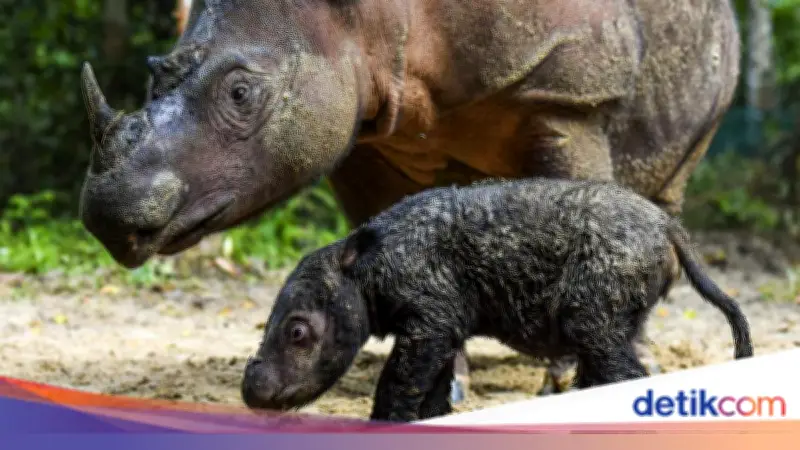 Catat! 19 Taman Nasional dan 9 Taman Wisata Alam Ditutup Sementara Saat Libur Lebaran 2026