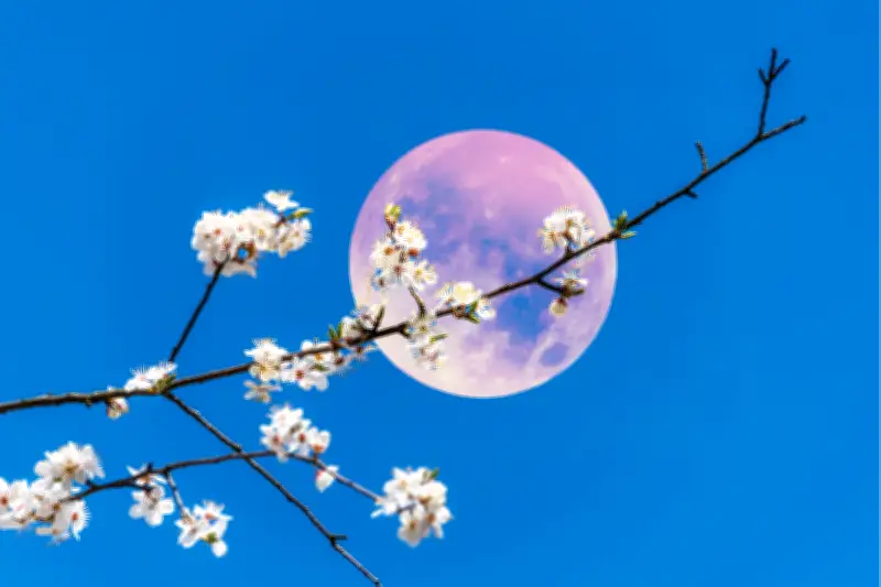 Fenomena Pink Moon Akan Hiasi Langit Indonesia pada 2 April 2026