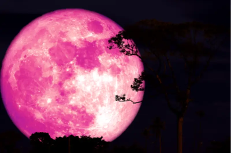 Fenomena Pink Moon Akan Hiasi Langit Malam 1-3 April 2026