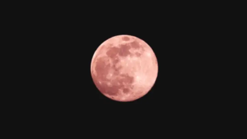 Fenomena Pink Moon Akan Menghiasi Langit Malam 1 April 2026, Ini Waktu Terbaik untuk Mengamatinya