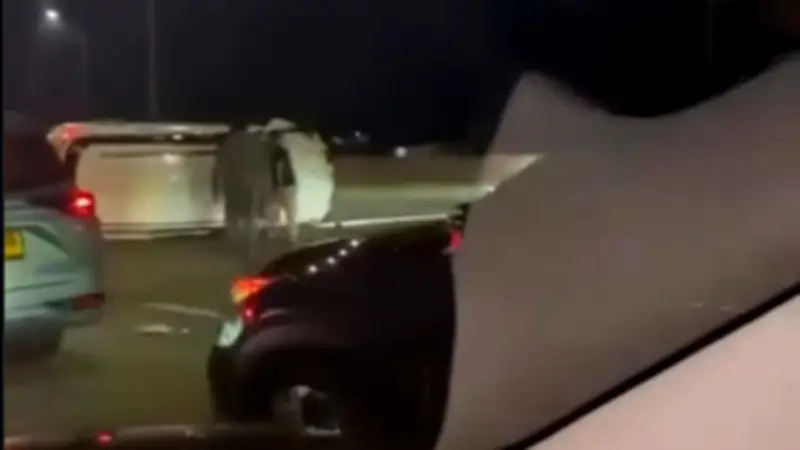 Fortuner Ugal-ugalan di Tol Andara Depok Terguling Usai Tabrak Agya, Dua Wanita Terluka