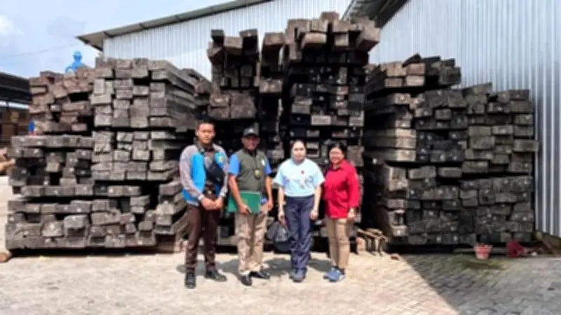 Gakkum Kehutanan Tangkap Dua Tersangka Pengedar Kayu Eboni Ilegal di Maluku dan Papua