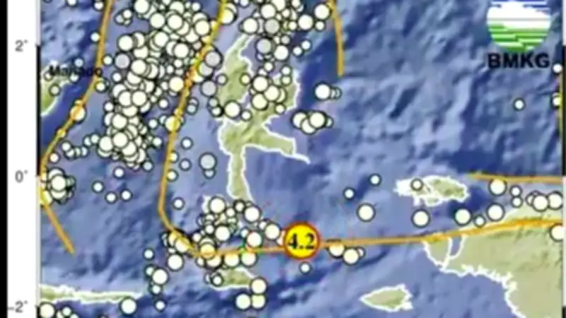 Gempa M 4,2 Guncang Halmahera Selatan Maluku Utara, Pusat di Laut