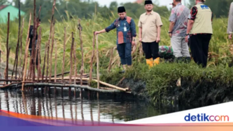Gubernur Jateng Tinjau Tanggul Jebol di Pekalongan, Minta Penanganan Dikebut