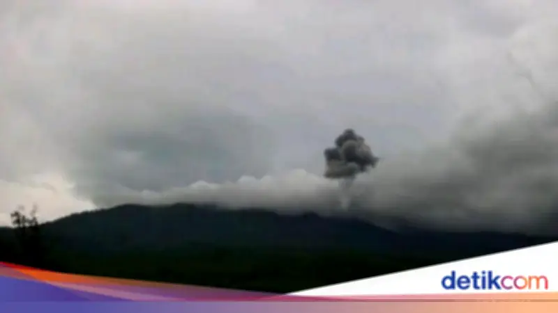 Gunung Lewotobi Laki-laki Erupsi Kembali, Semburkan Abu Vulkanik Setinggi 1,2 Km