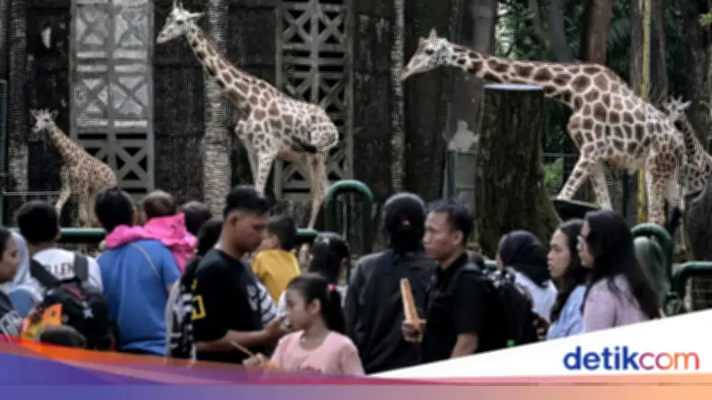 Hari Kedua Lebaran, Ragunan hingga Monas Buka untuk Wisatawan di Jakarta