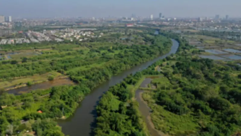 Hari Strategi Konservasi Dunia 6 Maret: Urgensi Tanggung Jawab Global untuk Alam