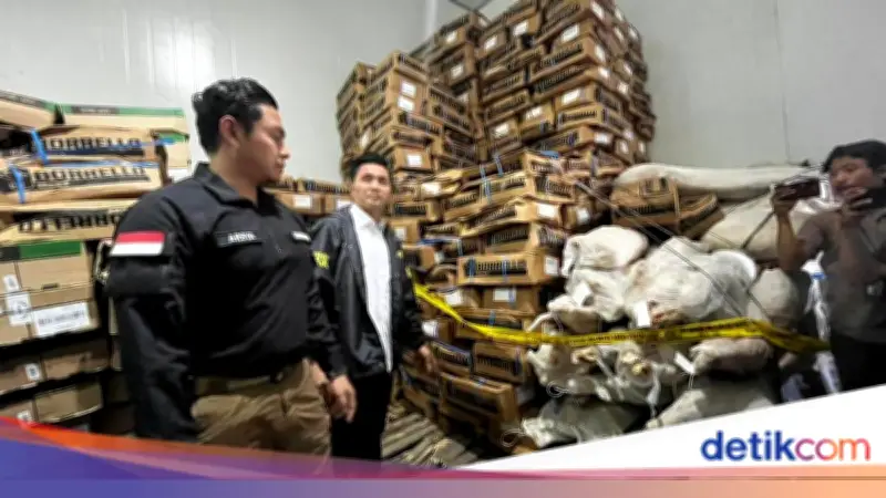 Hasil Uji Lab Bareskrim: Daging Impor Kedaluwarsa Tak Layak Konsumsi