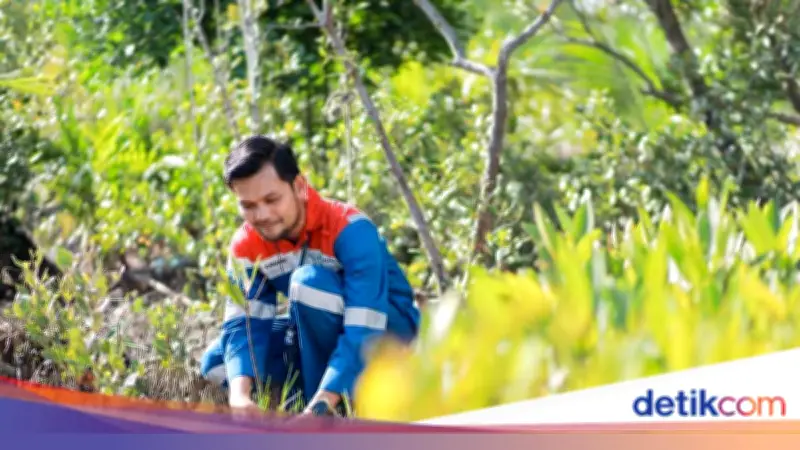 Hutan Lestari Pertamina: Transformasi Alam dan Ekonomi Warga di Tiga Wilayah