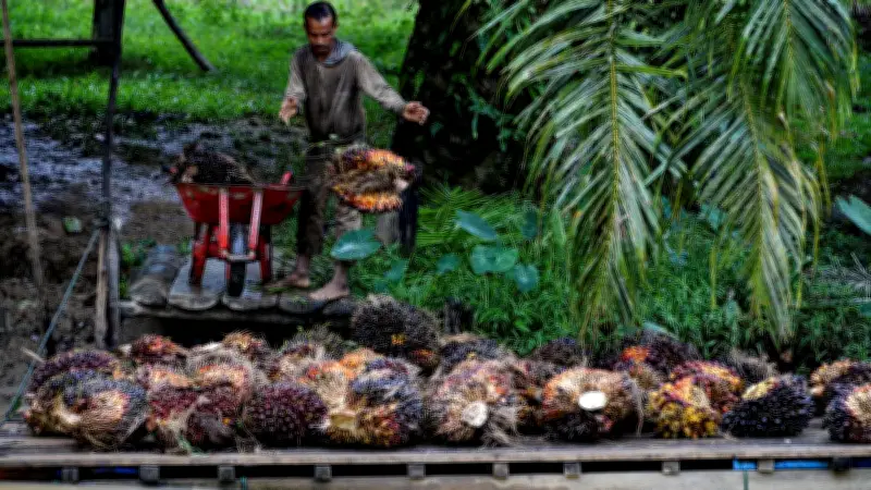 IPB University: Limbah Sawit Berpotensi Jadi Produk Bernilai Ekonomi Tinggi