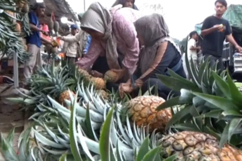 Jajanan Khas Lebaran 2026 Laris Manis, dari Timus hingga Nanas di Berbagai Daerah