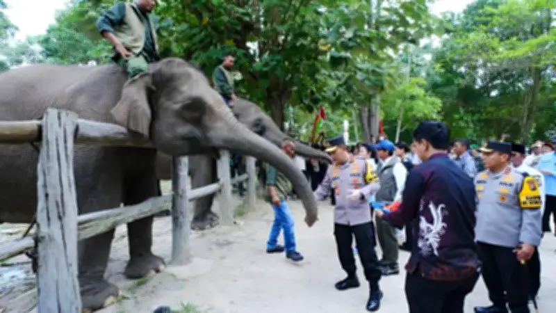 Kapolri Tinjau Taman Nasional Tesso Nilo, Siapkan Pemulihan 81 Ribu Hektare Habitat Gajah Sumatera