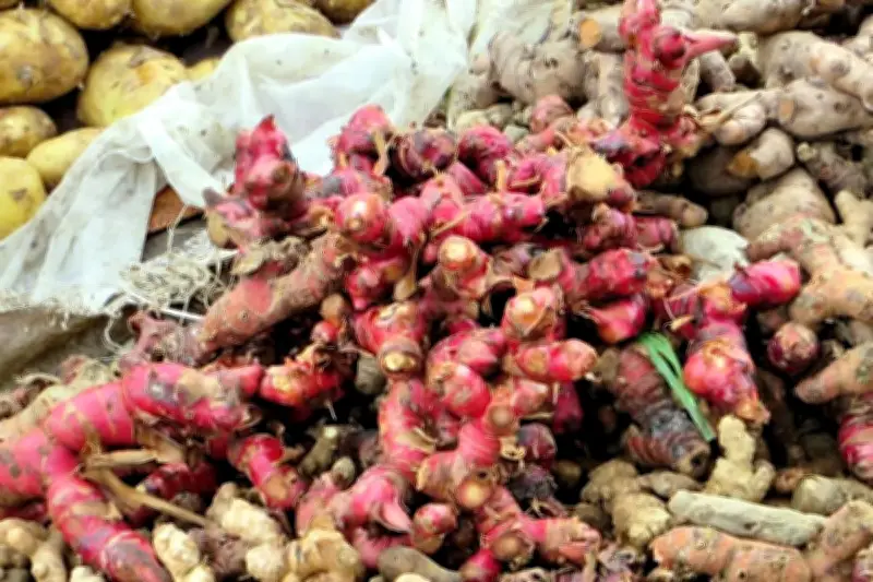 Kayu Secang dan Jahe Merah Disebut Ampuh Turunkan Risiko Penyakit Jantung