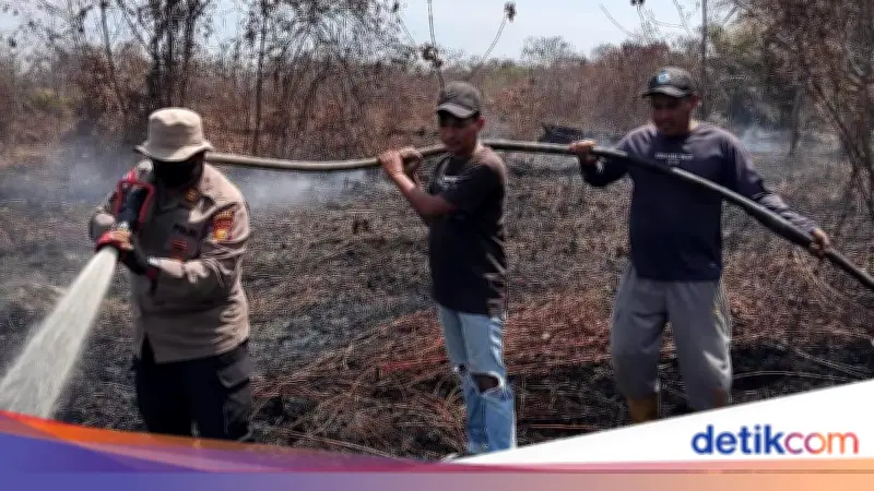 Kebakaran Lahan Gambut Melanda Dua Desa di Bengkalis, Polisi Berjibaku Padamkan Api