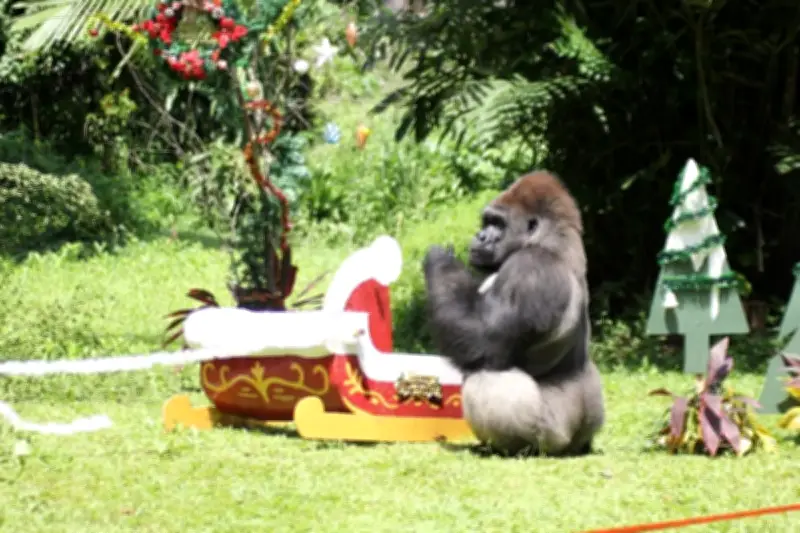 Kebun Binatang Ragunan Buka H+1 Lebaran 2026, Operasional Pukul 06.00-16.00 WIB