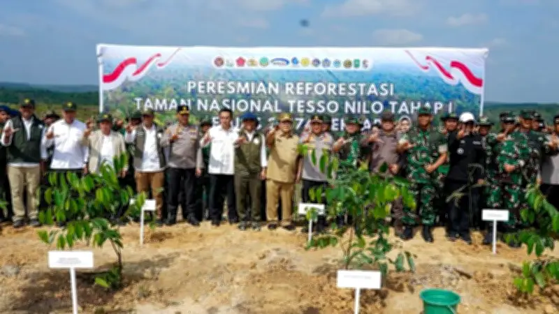 Kemenhut Luncurkan Program Reforestasi di Taman Nasional Tesso Nilo untuk Pulihkan Habitat Gajah Sumatera