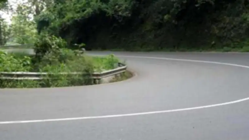 Koordinasi Intensif Antisipasi Pohon Tumbang di Alas Roban Saat Arus Mudik Lebaran