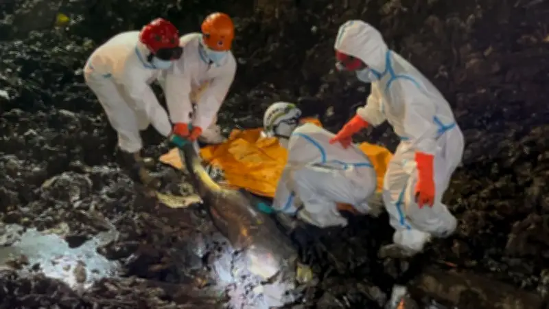 Operasi SAR Longsor Sampah Bantargebang Ditutup, Semua Korban Berhasil Ditemukan