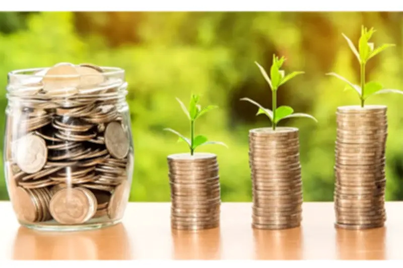 Pakar IPB Ungkap Fenomena Orang Kaya Palsu di Indonesia, Mentereng Tapi Minim Aset