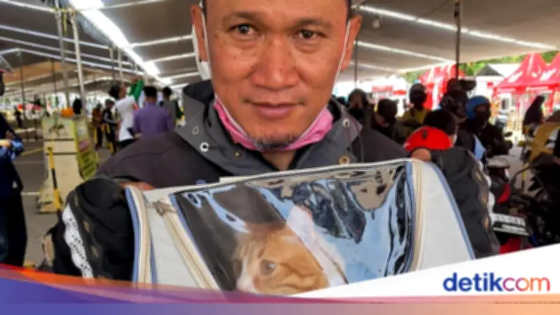 Pasangan Suami Istri Mudik Motor dari Jakbar ke Lampung Bawa 2 Kucing Kesayangan