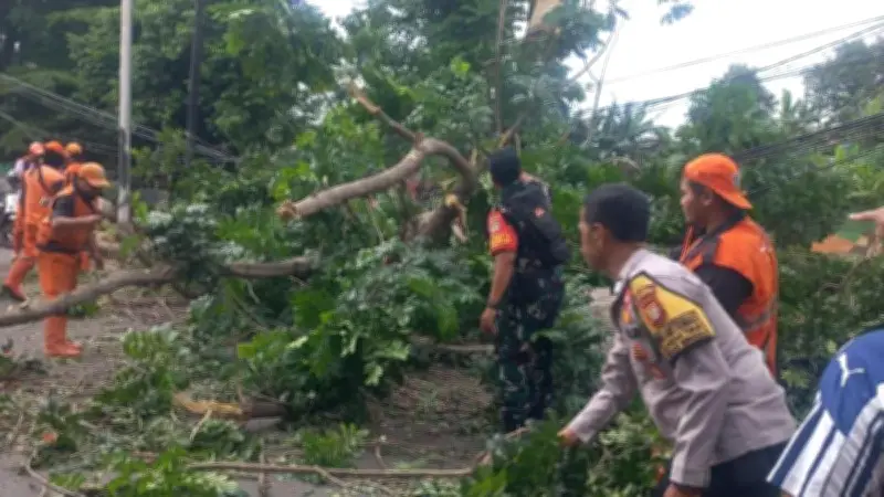 Pemprov DKI Tanggung Biaya Pemakaman Korban Tewas Tertimpa Pohon Tumbang di Jaksel