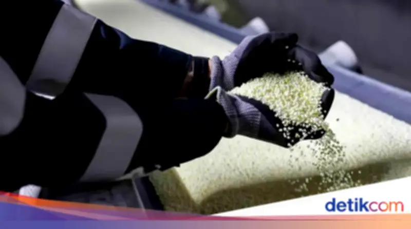 Perang AS-Israel Vs Iran Picu Ancaman Krisis Pangan Global Melalui Pupuk