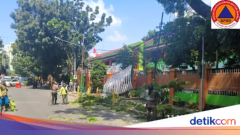 Pohon Tua Tumbang Depan SMKN 30 Jakarta, Tiga Pengendara Terluka Ringan