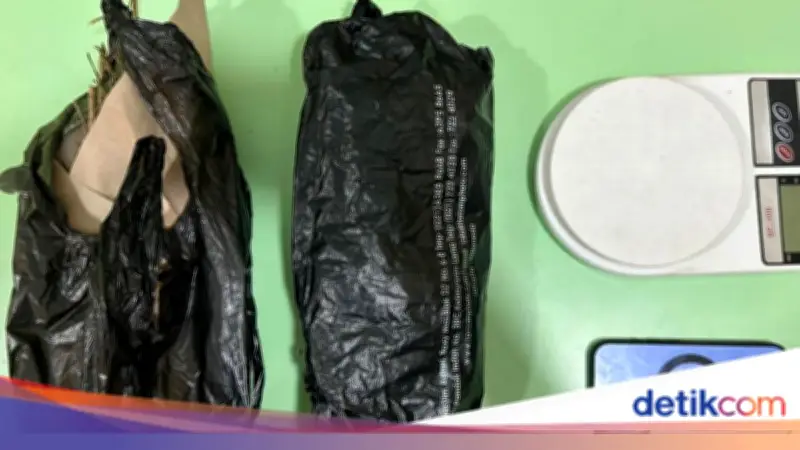 Polda Metro Tangkap Pengedar Ganja di Jakbar, 150 Gram Disita