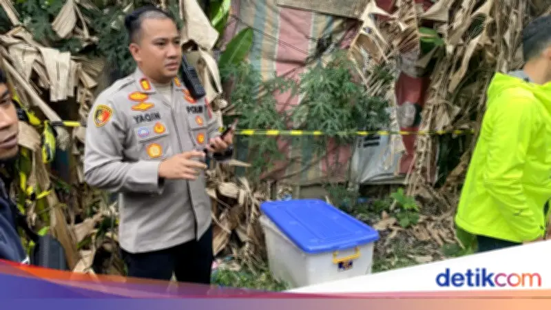 Polisi Selidiki Temuan Mayat Perempuan Muda dalam Kontainer di Medan
