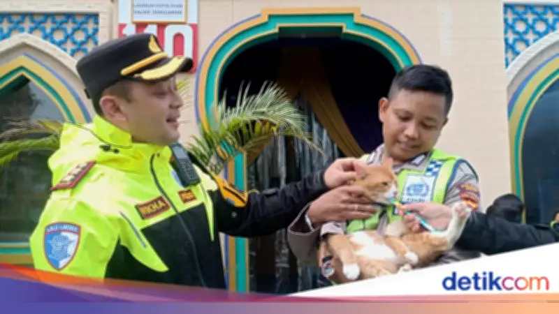 Poyici Oyen, Kucing Polisi Viral yang Bantu Pantau Lalu Lintas Puncak Bogor