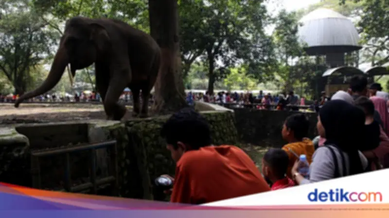 Ragunan Buka H+1 Lebaran 2026, Targetkan 400 Ribu Pengunjung