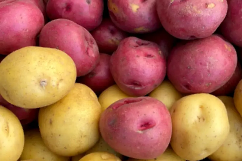 Rekomendasi Pangan Lokal untuk Menu Sahur dan Buka Puasa yang Lebih Sehat