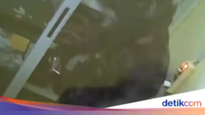 Rumah di Gunung Putri Bogor Dibobol, 50 Gram Emas Mulia Raib oleh Pencuri