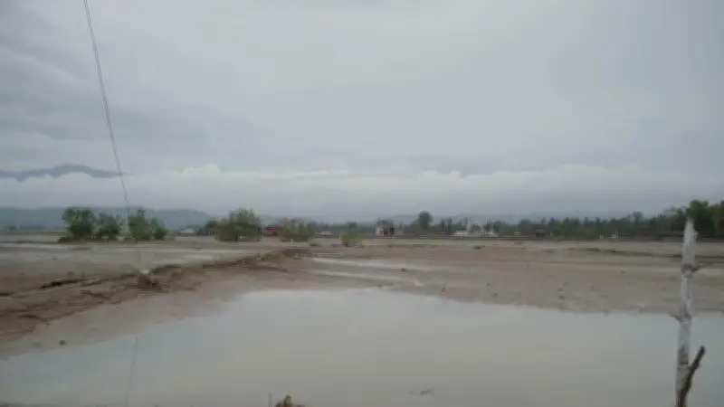 Satgas PRR Percepat Rehabilitasi Tambak dan Keramba untuk Pulihkan Ekonomi Pascabencana