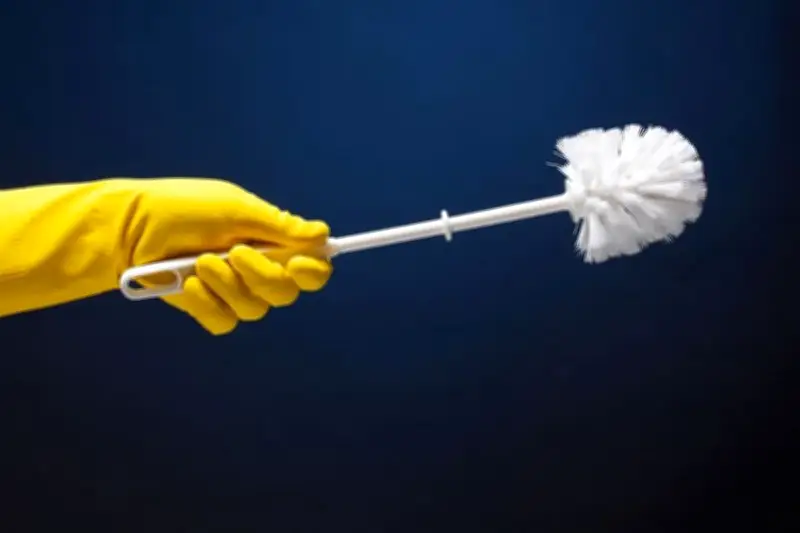 Sikat Kloset Sering Terlupakan, Padahal Bisa Jadi Sarang Bakteri