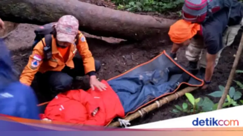 Tiga Pendaki Wanita Dievakuasi dari Gunung Dempo Akibat Hipotermia dan Cedera