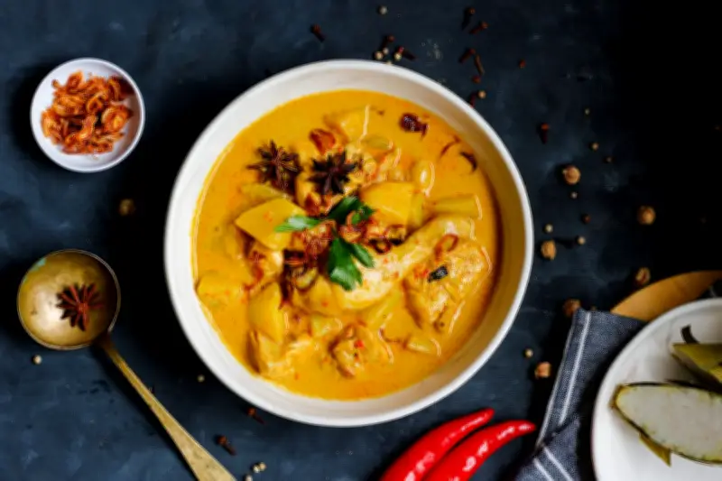 Tips Menyimpan Opor Ayam Agar Awet dan Tidak Cepat Basi