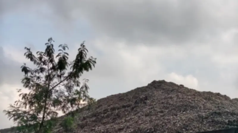 TPST Bantargebang: Ancaman Longsor dan Sumber Penghidupan Warga Pemulung